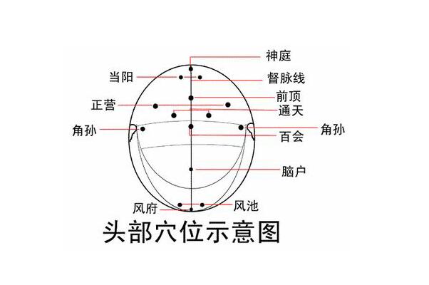 全身保健從“頭”開始 中醫教你頭部刮痧療法