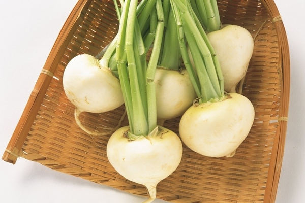 產後適當吃蘿卜 排出腸道廢氣