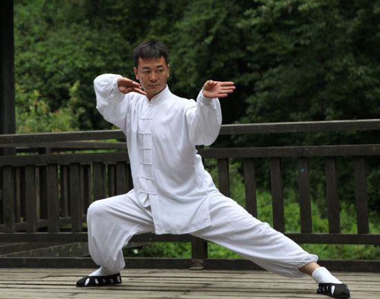 太極拳拳理 太極拳永恒的本質