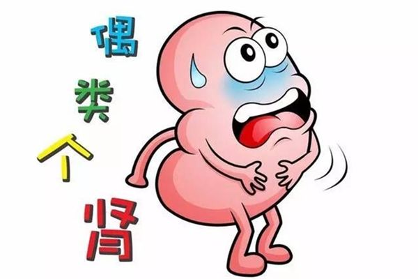 慢性腎臟病