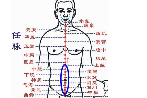 你不可不知的人體三大養生保健穴位