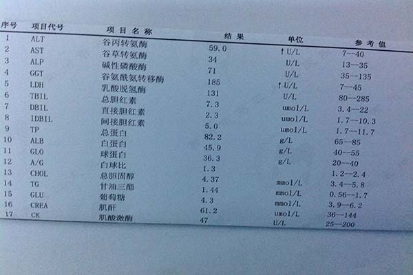 教你如何看肝功能化驗單