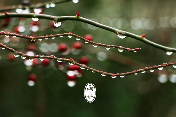 雨水