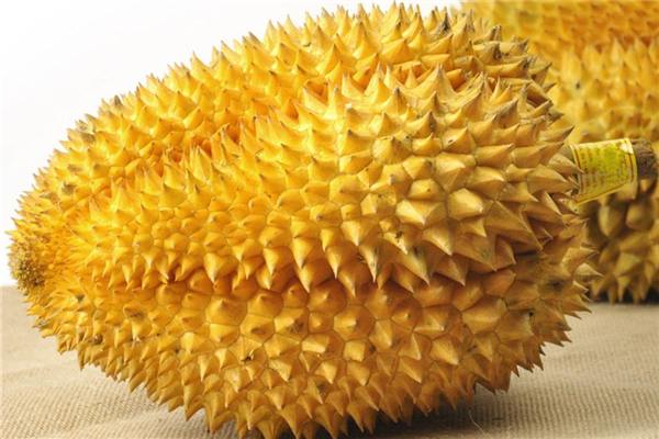 榴蓮