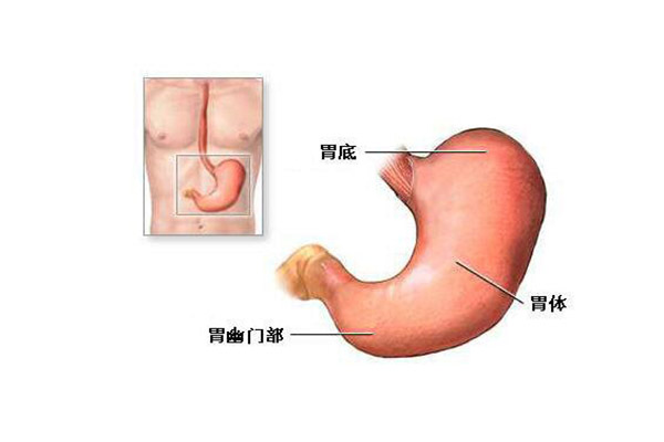 慢性淺表性胃炎的癥狀_胃炎的治療吃什麼藥好_怎麼治療