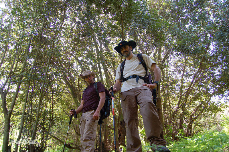 吸汗神器——速幹褲