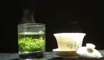 苦丁茶的功效與作用