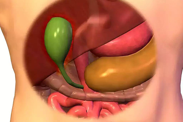 膽囊壁欠光滑的原因和治療方法