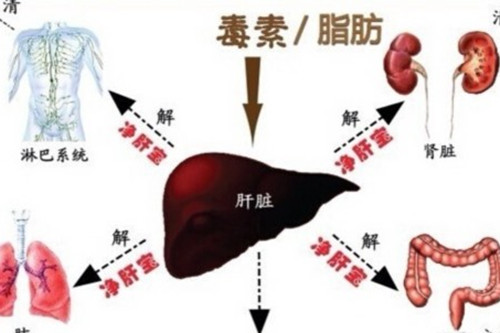 如何排清體內陰毒