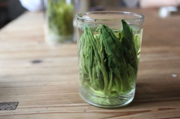 太平猴魁茶,茶