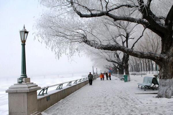 下雪的季節,風,季節,風雪