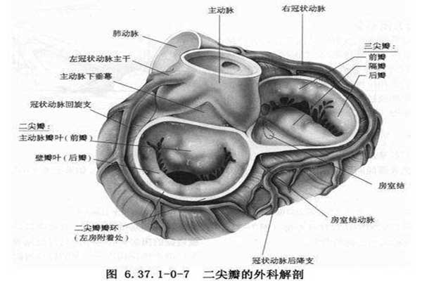 二尖瓣狹窄癥狀有哪些？