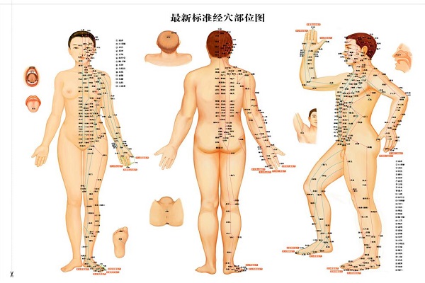 女人經絡養生經 學會這些讓你脫離疾病