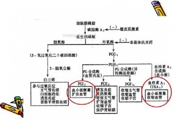 甾體抗炎藥