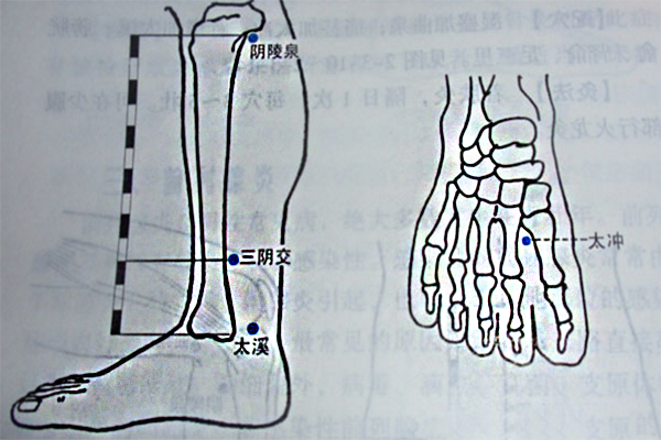 三陰交穴位在哪_三陰交穴位位置圖_三陰交穴位的作用