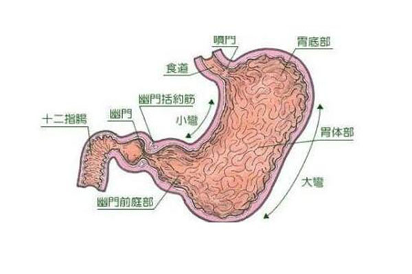 腸胃炎癥狀_胃炎吃什麼食物好_胃炎怎麼治療_怎麼辦