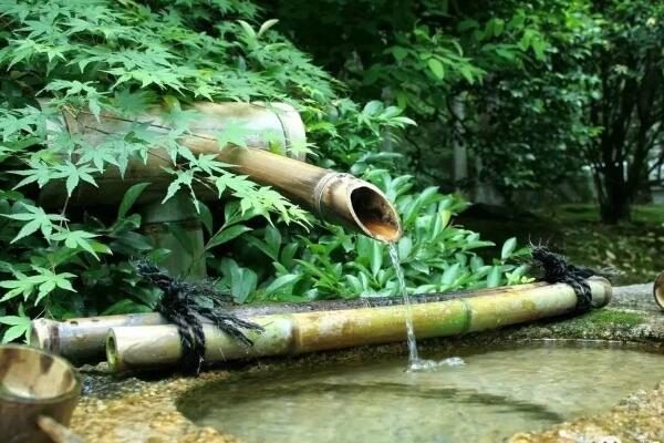 大暑需補氣去火 你知道該吃什麼嗎