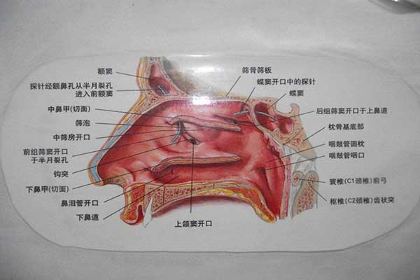 咽喉炎幹咳怎麼辦？