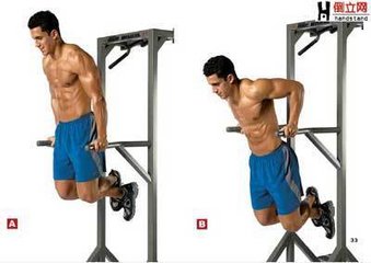 雙杠臂屈伸 你不知道的小問題