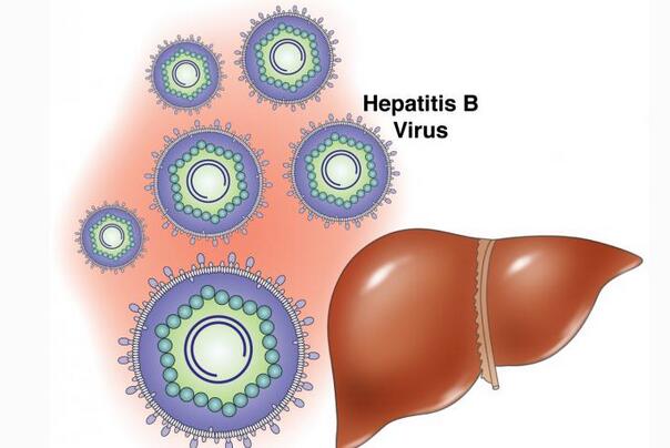 乙肝會導致肝癌嗎 8歲女童患肝癌不幸病逝