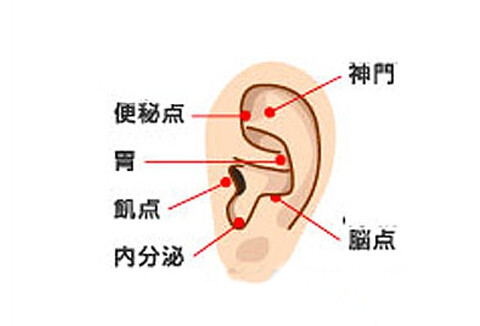 刺激耳廓的減肥方法