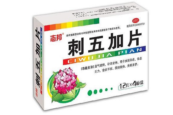 刺五加片的功效和作用有哪些