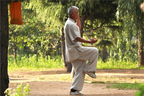 教你零基礎自學太極拳的方法