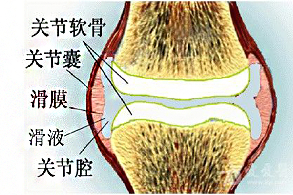 滑膜肉瘤的癥狀是什麼呢？