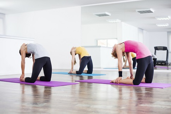 豐胸有什麼方法_如何用瑜伽豐胸