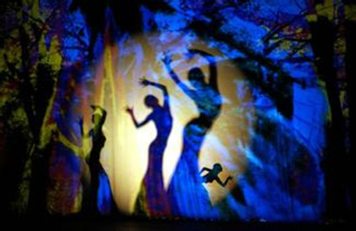 揭秘楊麗萍的減肥秘訣